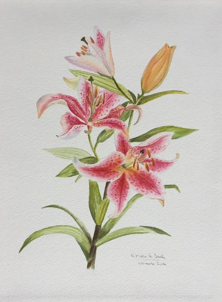 Aquarelle fleur de lys