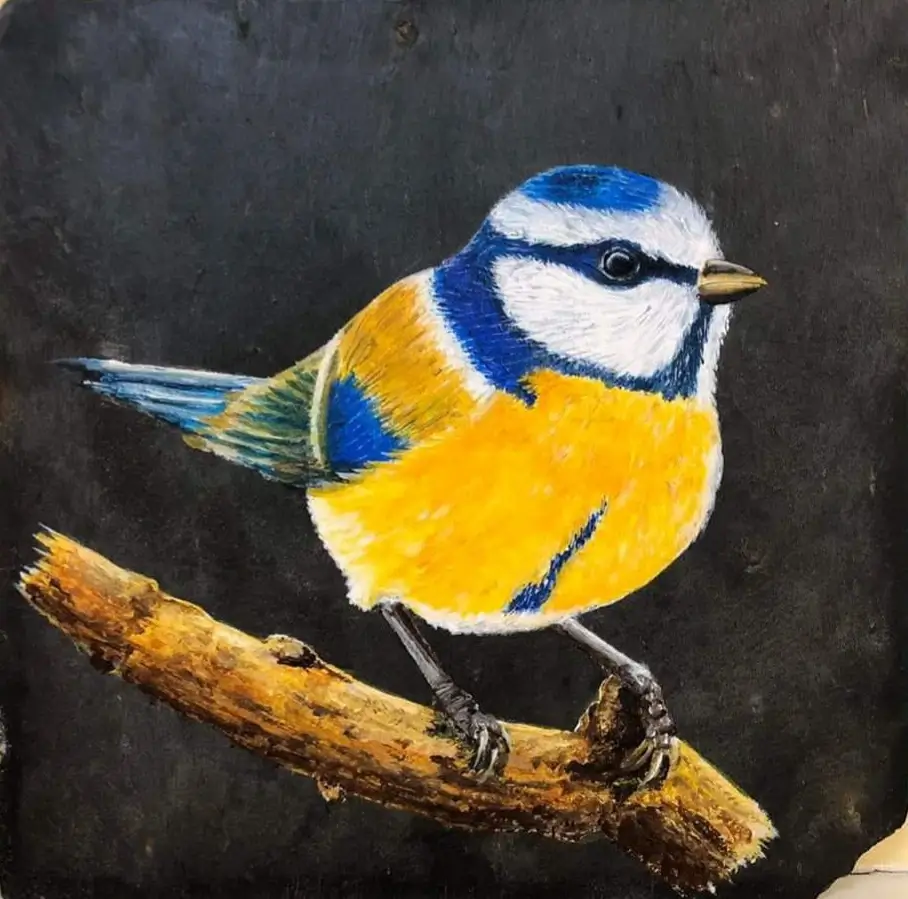 Ardoise peinte mésange bleue
