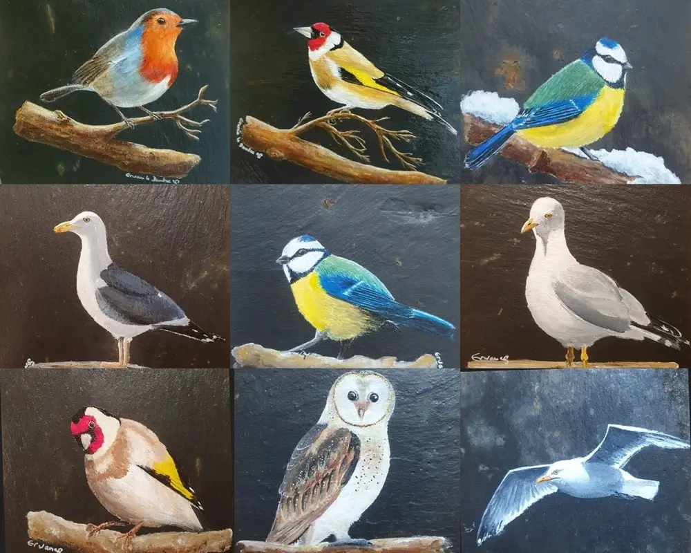 9 ardoises peintes oiseaux des jardins