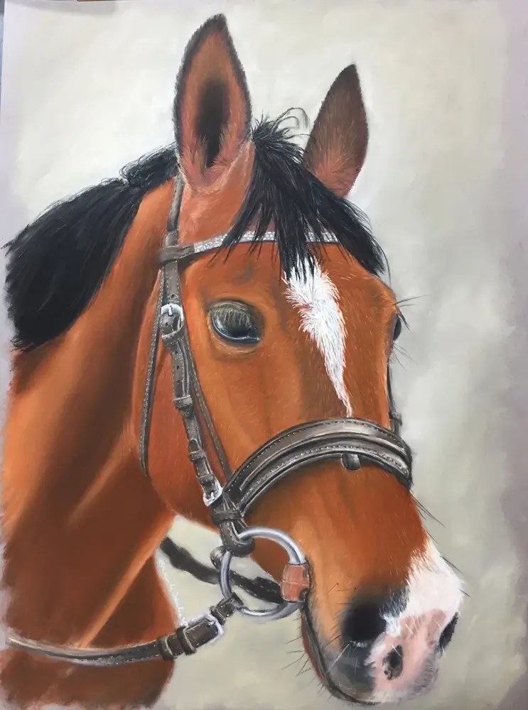Pastel d'une tête de cheval