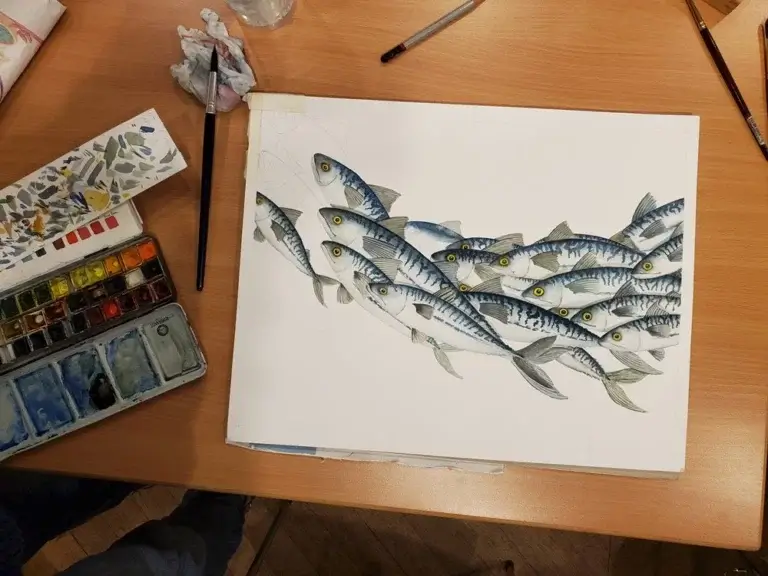 Aquarelle d'un banc de maquereaux en cours de réalisation