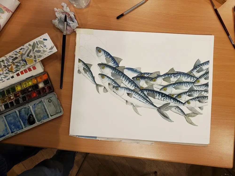 Aquarelle d'un banc de maquereaux en cours de réalisation