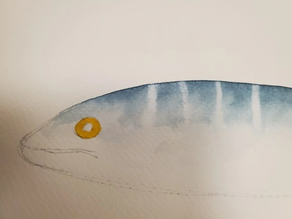 Tuto aquarelle - réalisation de l'œil du maquereau, pose de l'iris