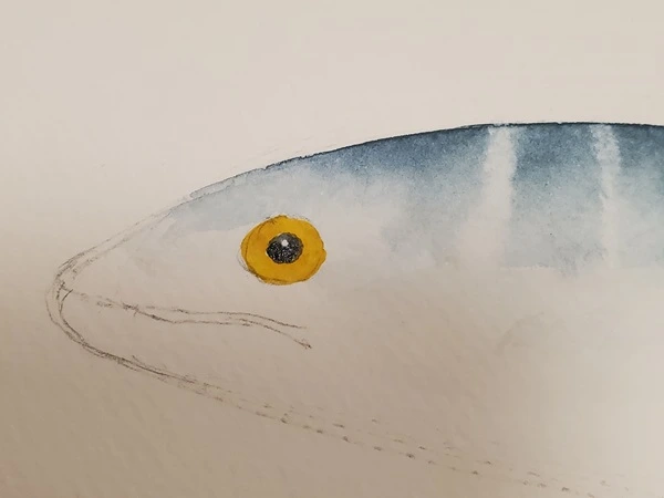 Tuto aquarelle - réalisation de l'œil du maquereau, pose de la pupille
