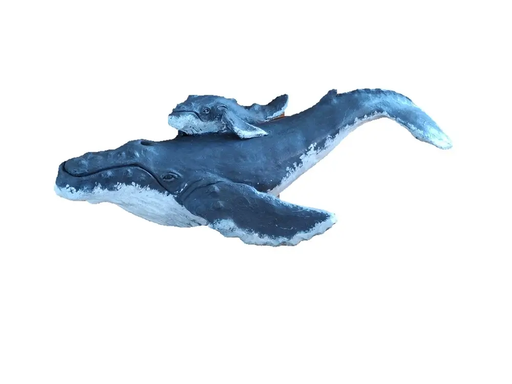 Baleine à Bosses et bebe detourés