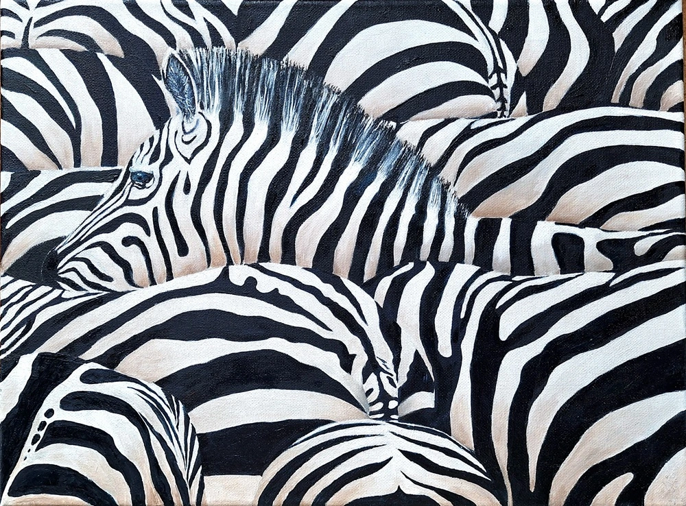 Peinture à l'huile d'un troupeau de zèbres